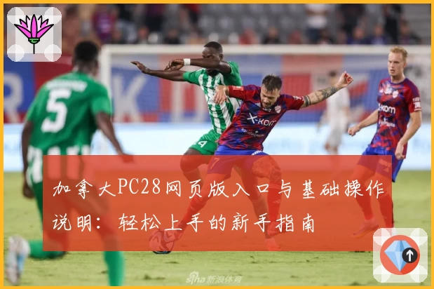 加拿大PC28网页版入口与基础操作说明：轻松上手的新手指南