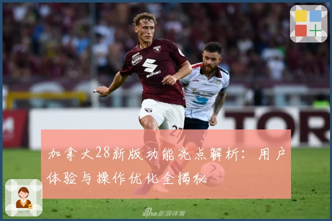 加拿大28新版功能亮点解析：用户体验与操作优化全揭秘