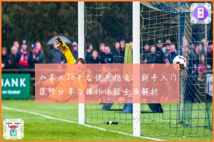 加拿大28平台使用指南：新手入门技巧分享与操作体验全面解析