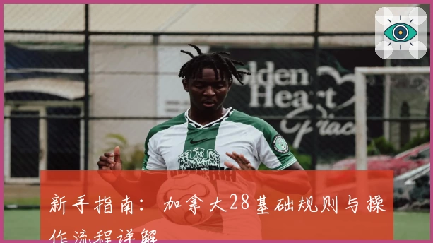 新手指南：加拿大28基础规则与操作流程详解