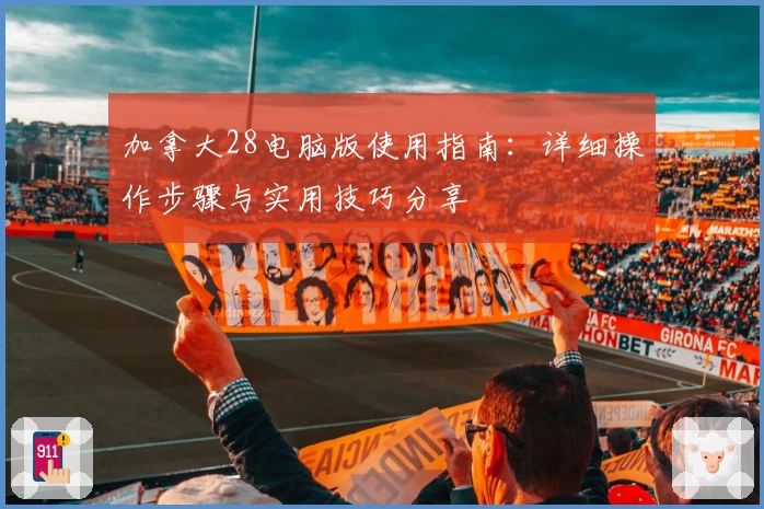 加拿大28电脑版使用指南：详细操作步骤与实用技巧分享