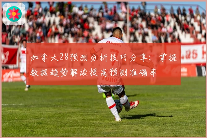 加拿大28预测分析技巧分享：掌握数据趋势解读提高预测准确率