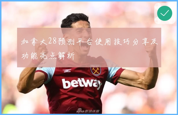 加拿大28预测平台使用技巧分享及功能亮点解析