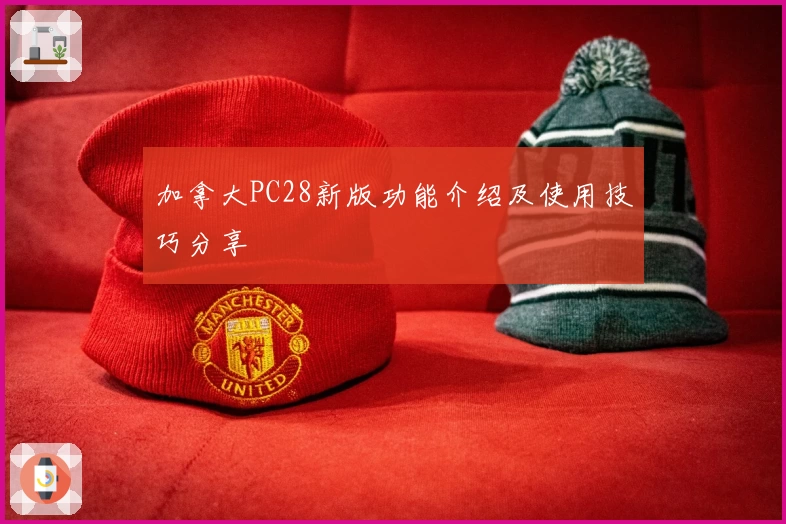加拿大PC28新版功能介绍及使用技巧分享