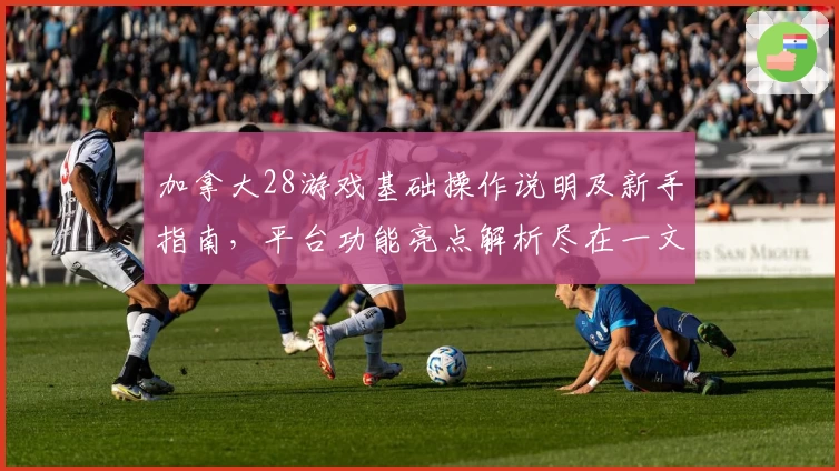 加拿大28游戏基础操作说明及新手指南，平台功能亮点解析尽在一文