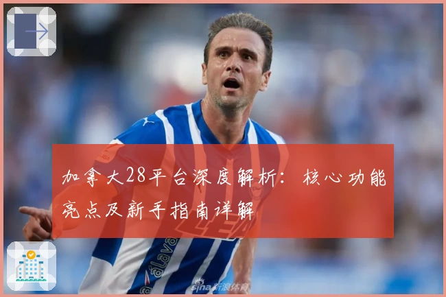 加拿大28平台深度解析：核心功能亮点及新手指南详解