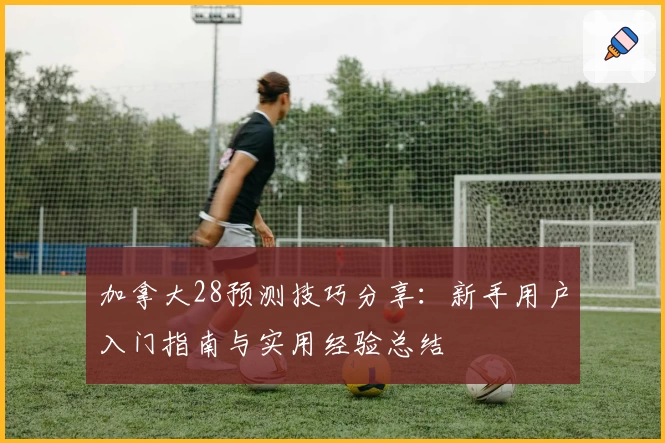 加拿大28预测技巧分享：新手用户入门指南与实用经验总结