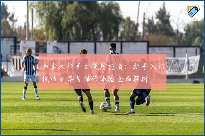 加拿大28平台使用指南:新手入门技巧分享与操作体验全面解析