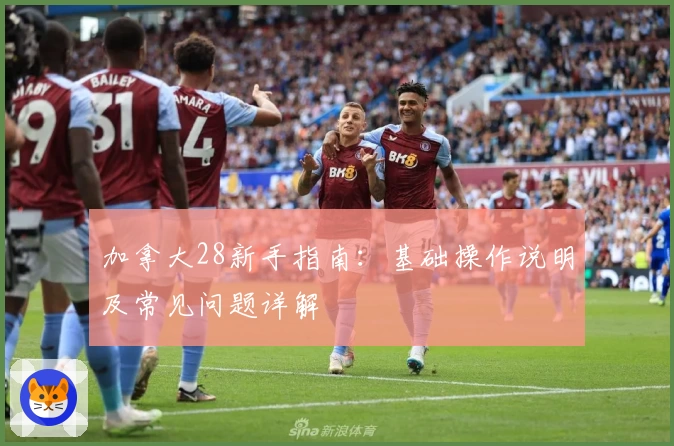 加拿大28新手指南：基础操作说明及常见问题详解