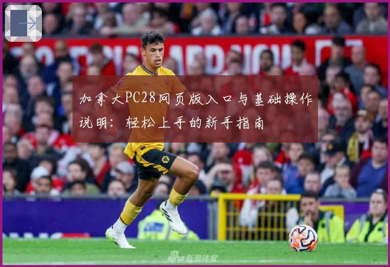 加拿大PC28网页版入口与基础操作说明：轻松上手的新手指南