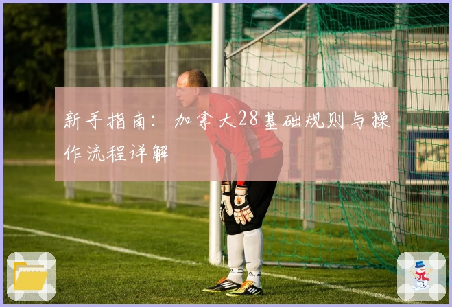 新手指南：加拿大28基础规则与操作流程详解